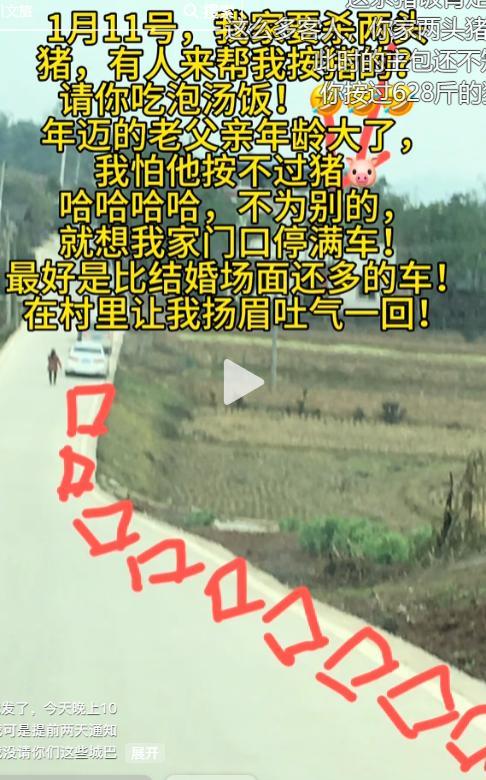 MK体育-株洲灿灿跟风杀猪，比呆呆还野！文旅提前6天准备，却被网友骂惨