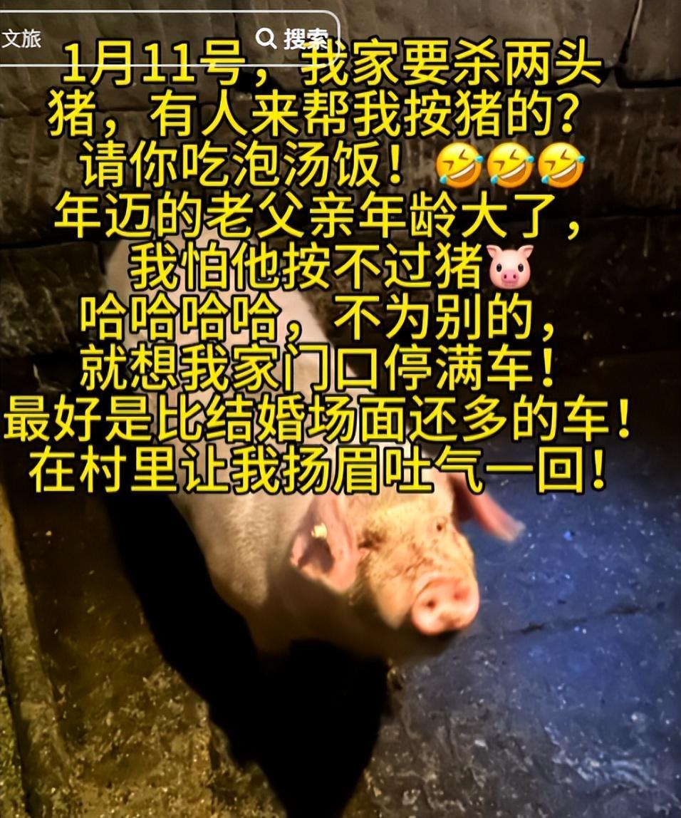 MK体育-株洲灿灿跟风杀猪，比呆呆还野！文旅提前6天准备，却被网友骂惨
