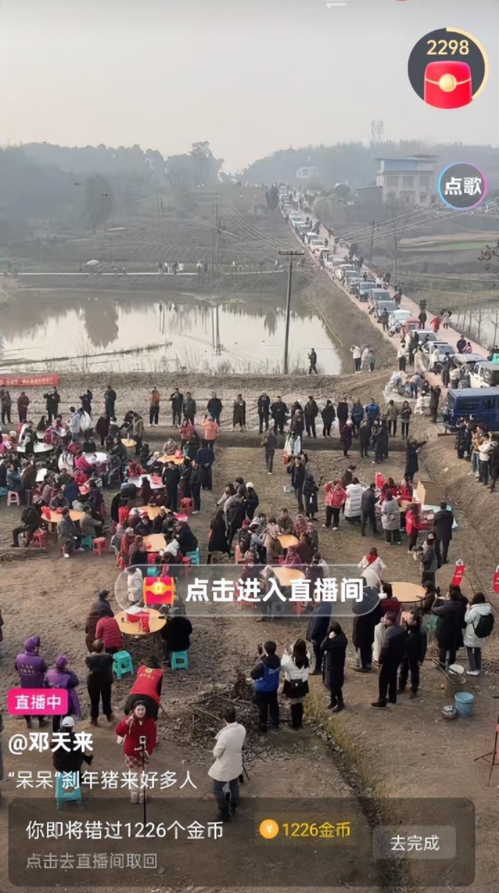 MK体育-株洲灿灿跟风杀猪，比呆呆还野！文旅提前6天准备，却被网友骂惨